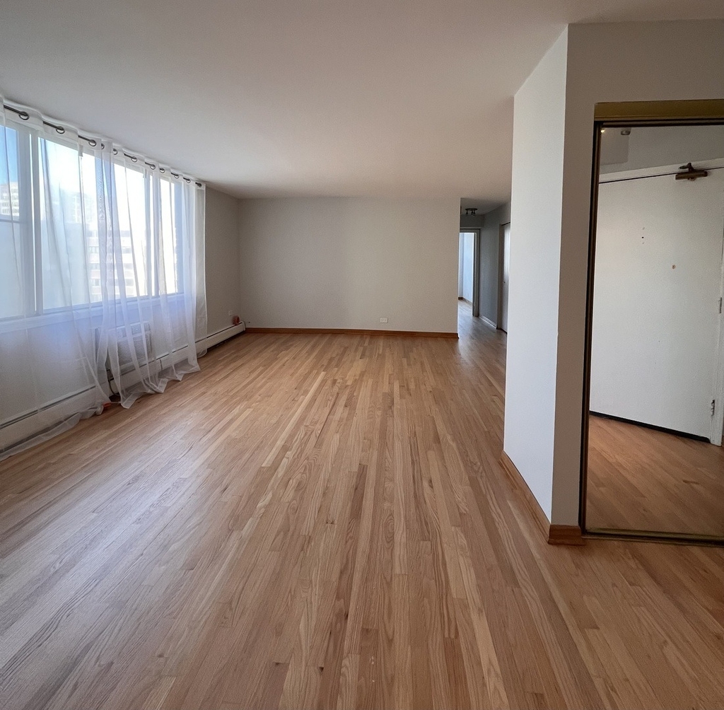 6325 N Sheridan Road - Photo 1