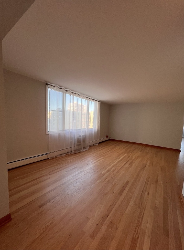 6325 N Sheridan Road - Photo 3