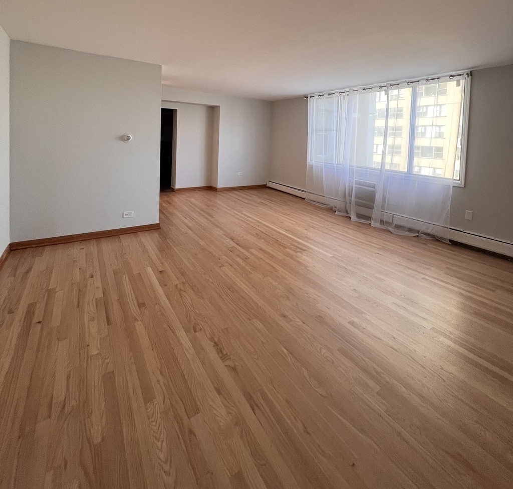 6325 N Sheridan Road - Photo 2
