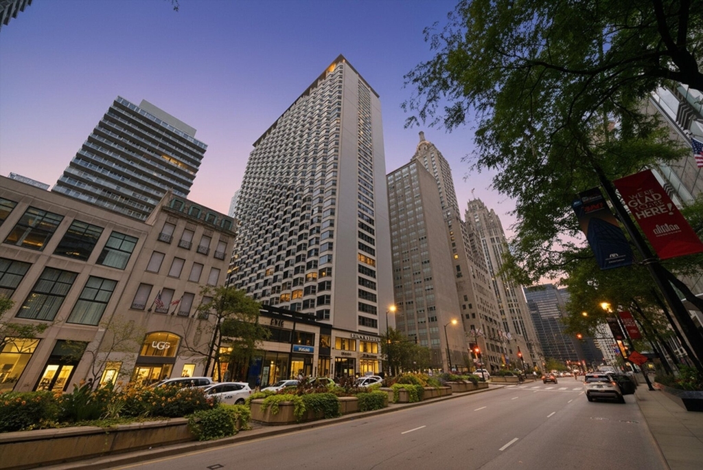 535 N Michigan Avenue - Photo 16