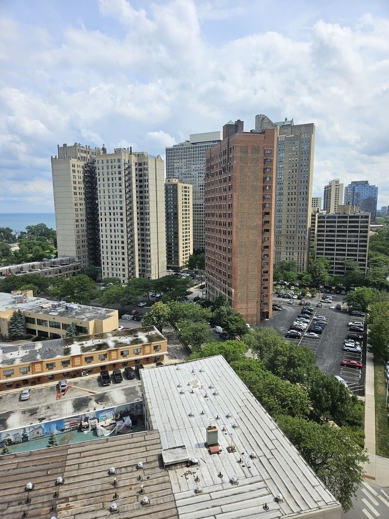 4800 S Chicago Beach Drive - Photo 17