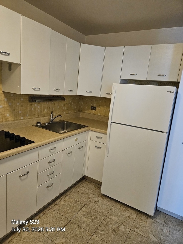 4800 S Chicago Beach Drive - Photo 29