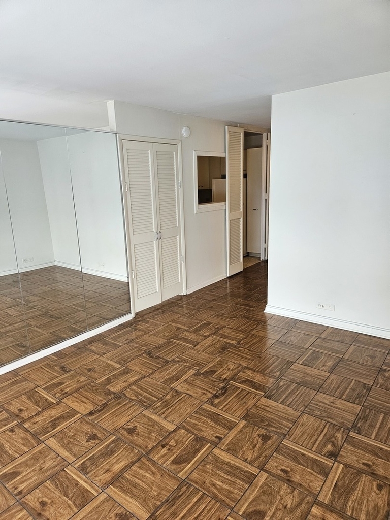 4800 S Chicago Beach Drive - Photo 13