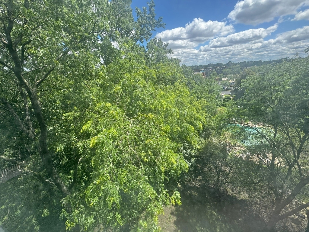 1 Renaissance Place - Photo 16