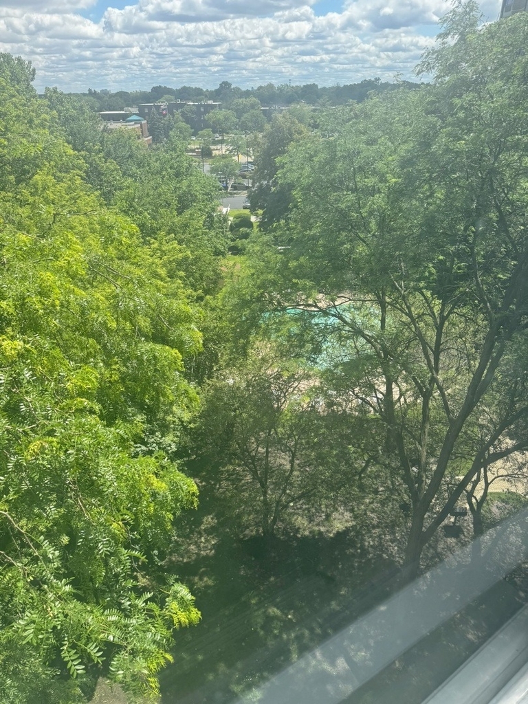 1 Renaissance Place - Photo 15
