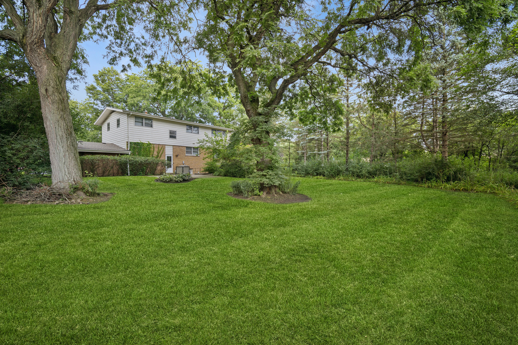 921 Wilmot Road - Photo 15