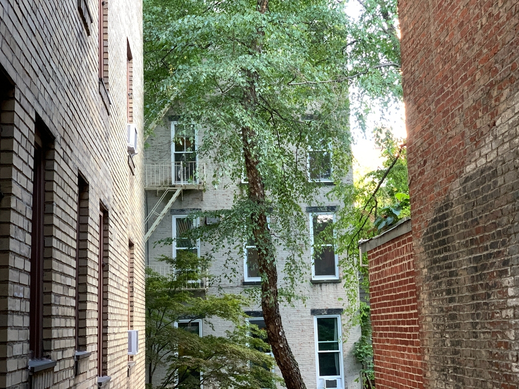 80 Cranberry Street - Photo 7