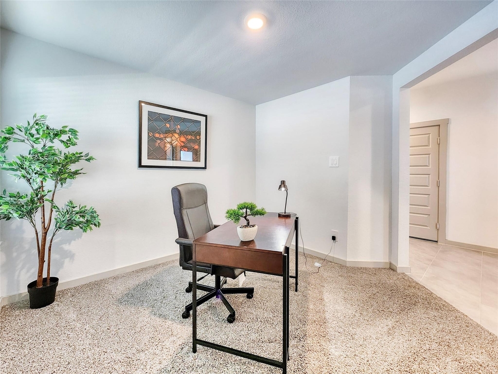 29914 Reagans Ranch Drive - Photo 2