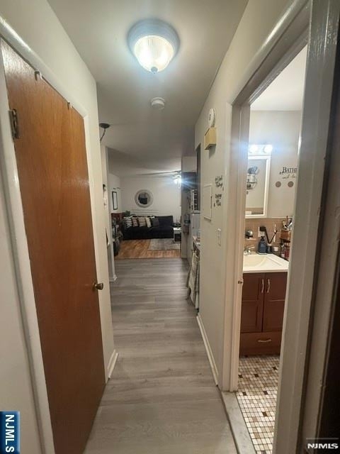 279 Chestnut - Photo 4