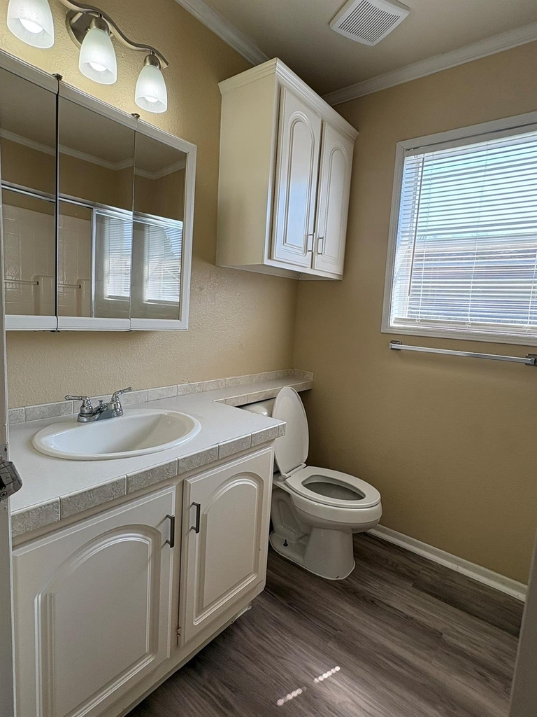 10002 Sugarvine Lane - Photo 8