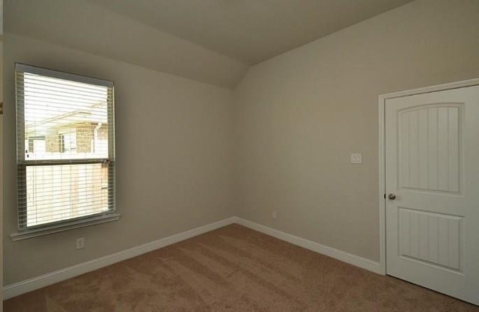 16911 Lady Bird Lake Court - Photo 11