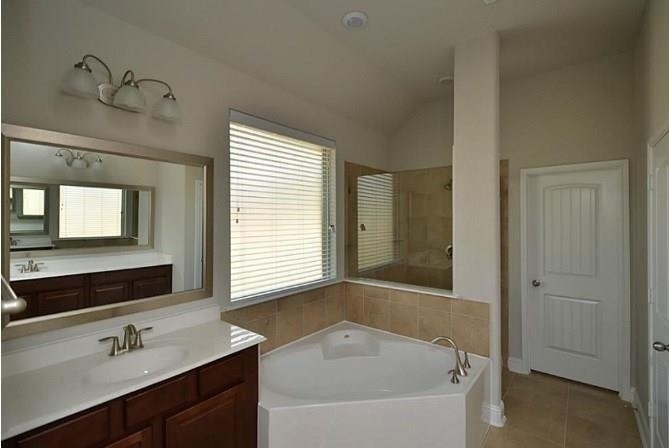 16911 Lady Bird Lake Court - Photo 9