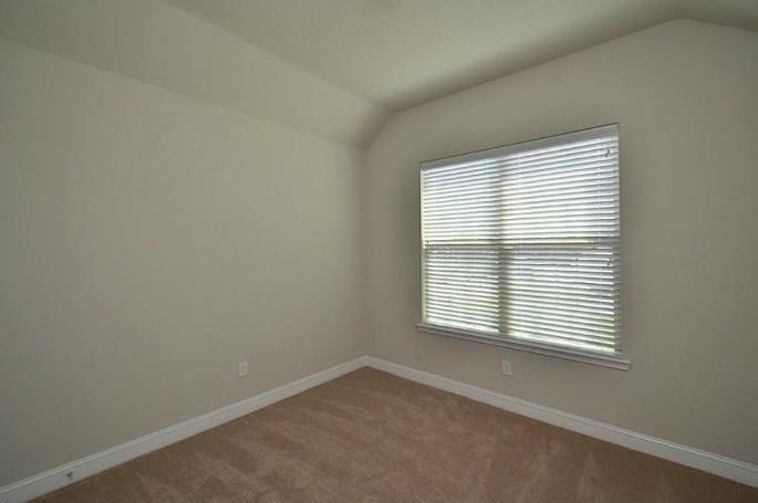 16911 Lady Bird Lake Court - Photo 10
