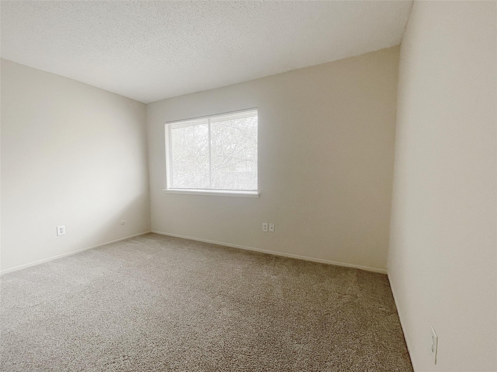 12023 Greenwood Forest Drive - Photo 15