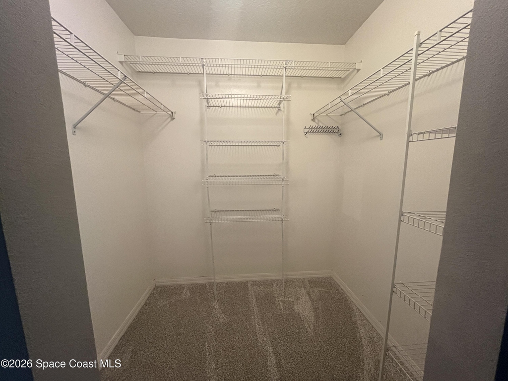 2205 Myla Lane - Photo 14
