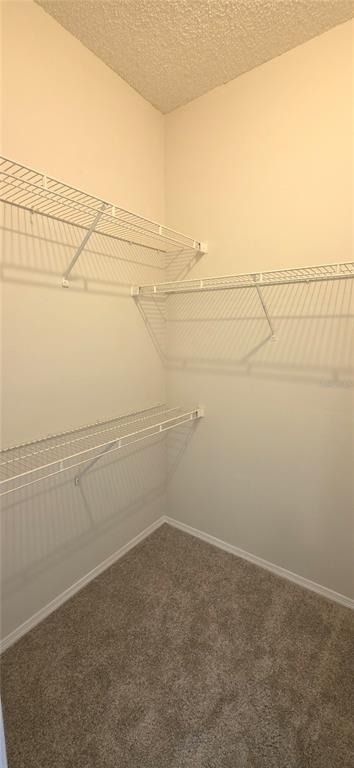 4115 Chatham Oak Court - Photo 27