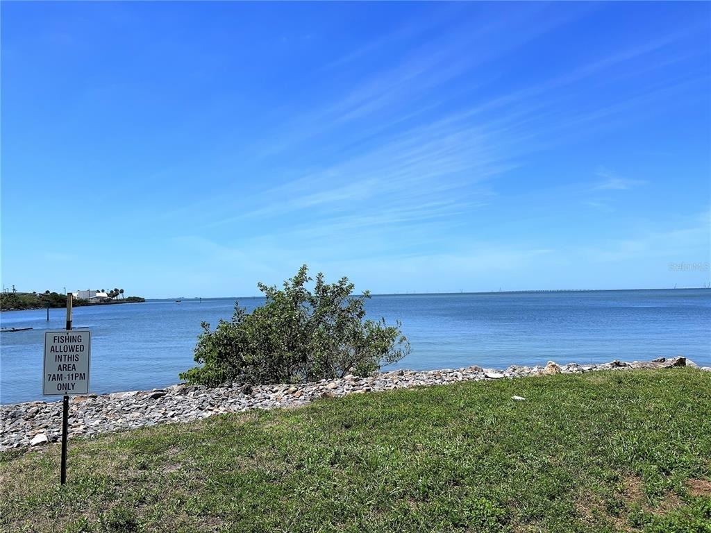 5000 Culbreath Key Way - Photo 32