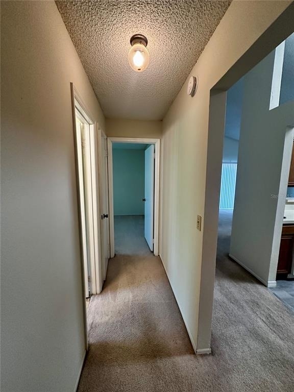 3723 Narroline Drive - Photo 9