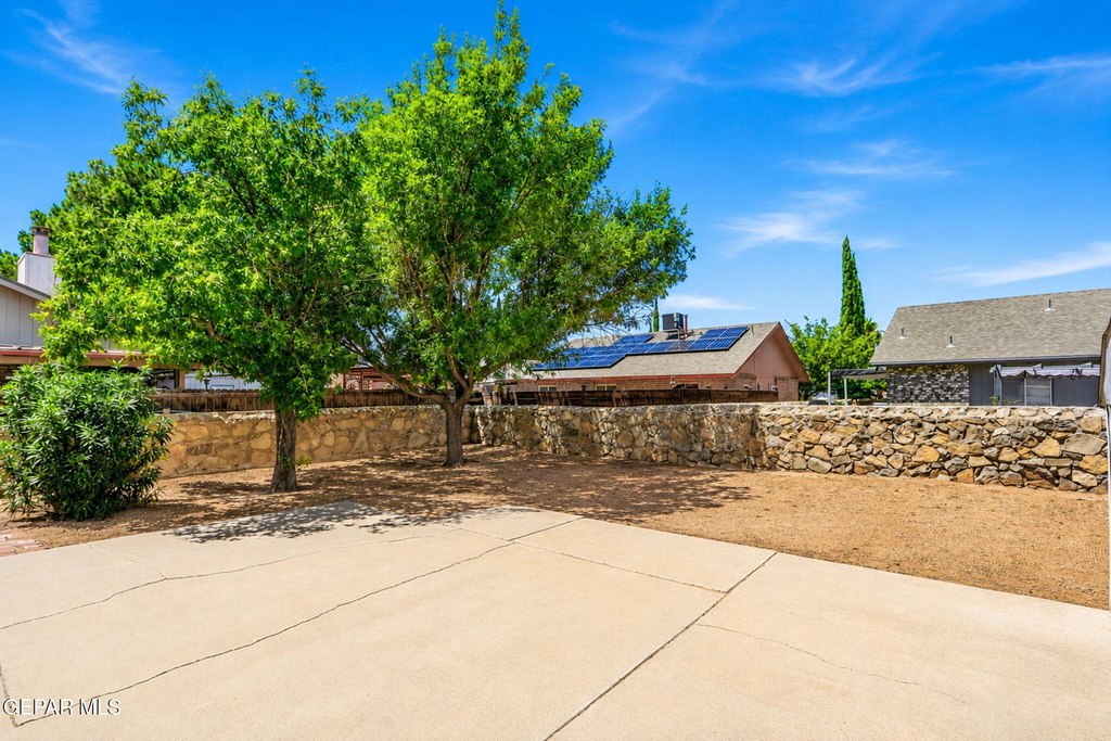 11859 Urbici Soler Drive - Photo 22