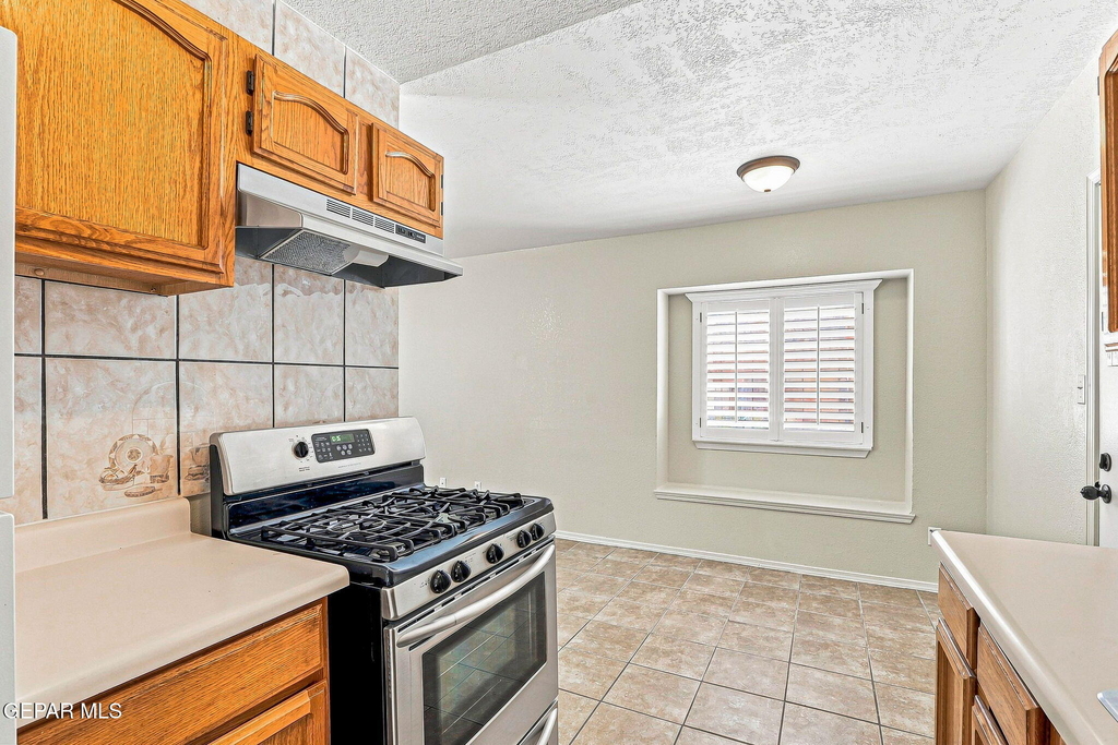 11859 Urbici Soler Drive - Photo 8