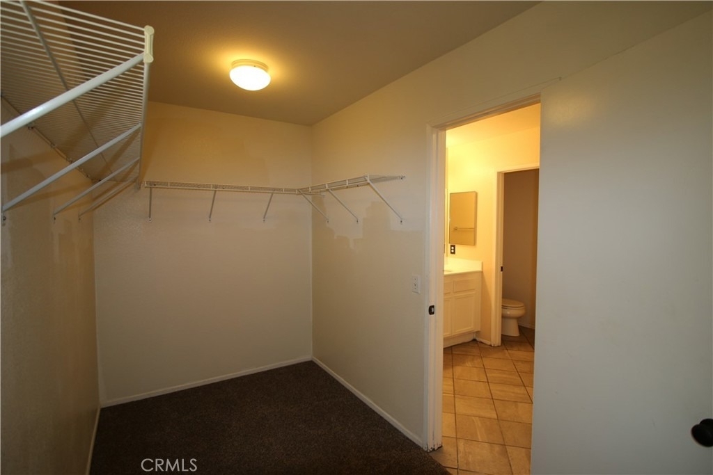25352 Mountain Springs Street - Photo 15