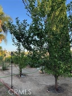 1347 Via Cibola - Photo 15