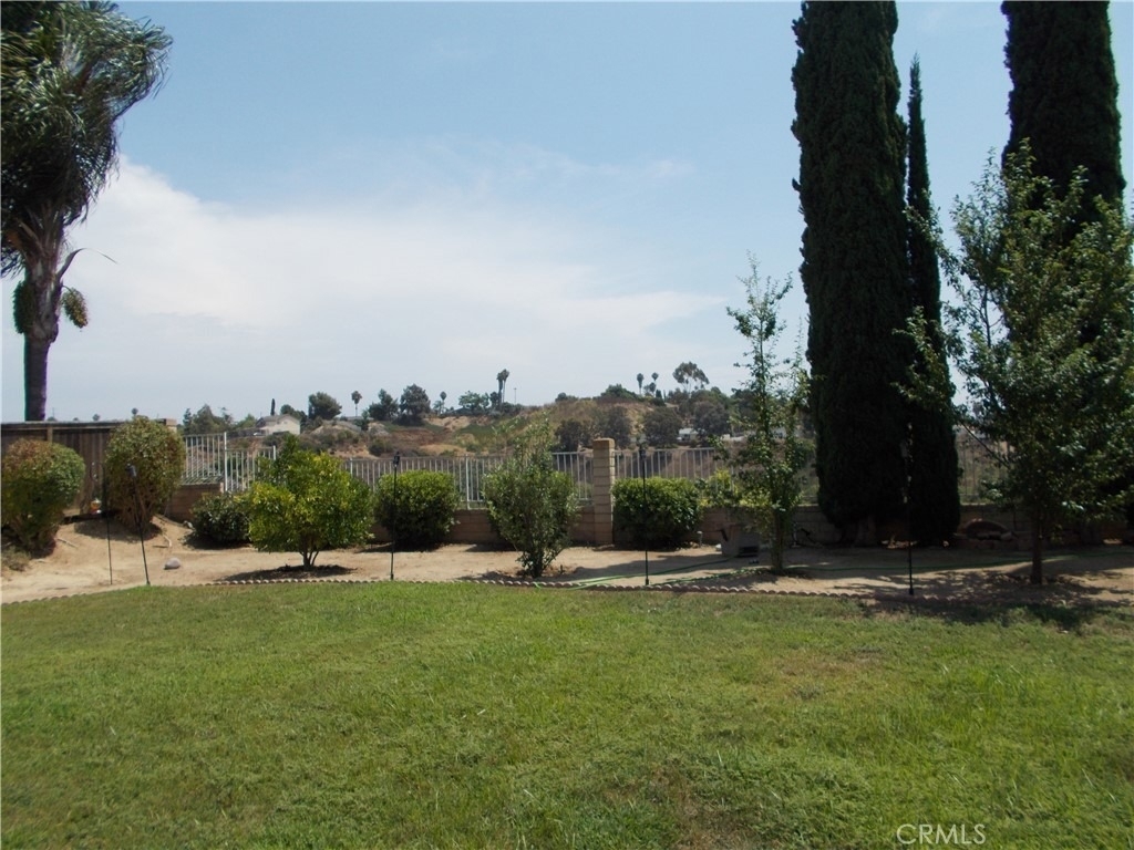 1347 Via Cibola - Photo 13