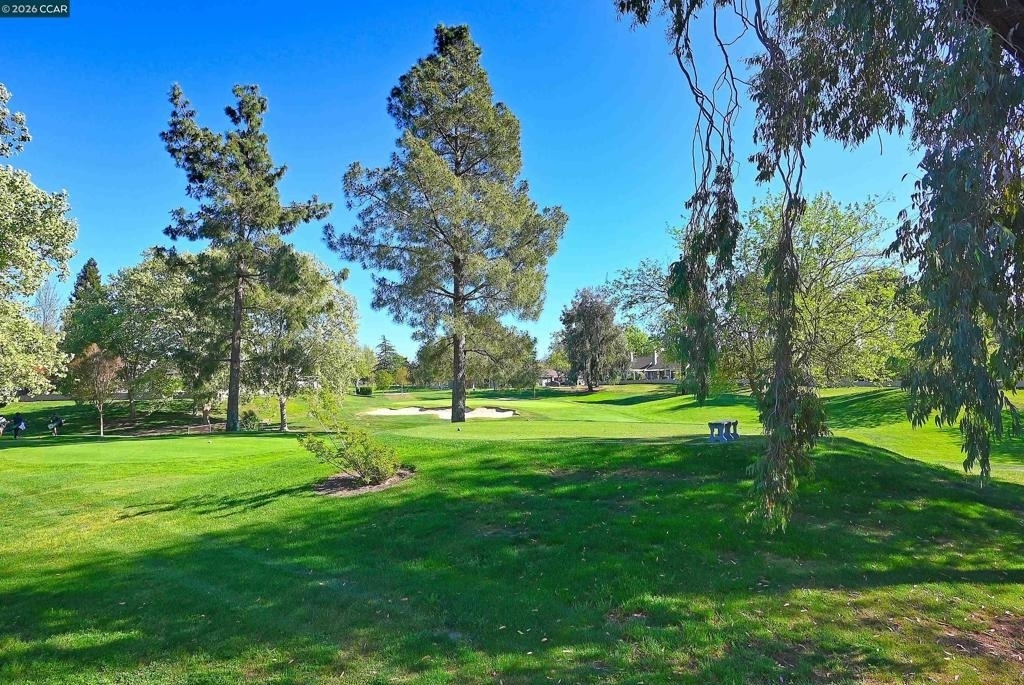 597 Saint George Rd - Photo 10
