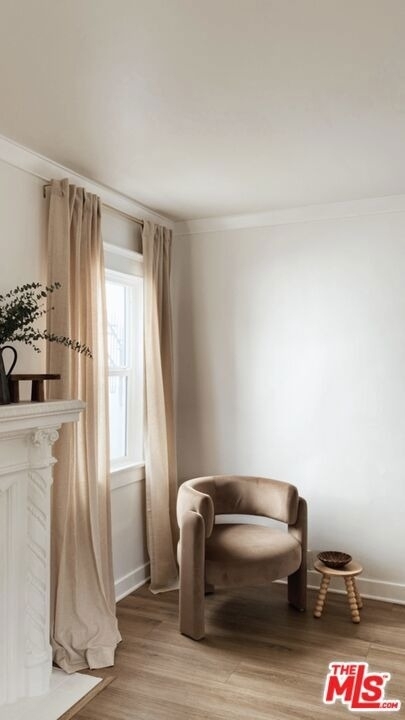 1146 S Mullen Avenue - Photo 49