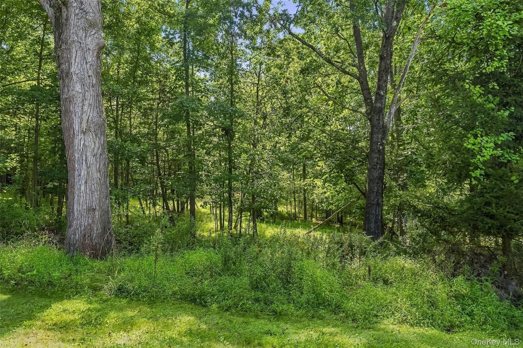 35 Cunningham - Photo 44