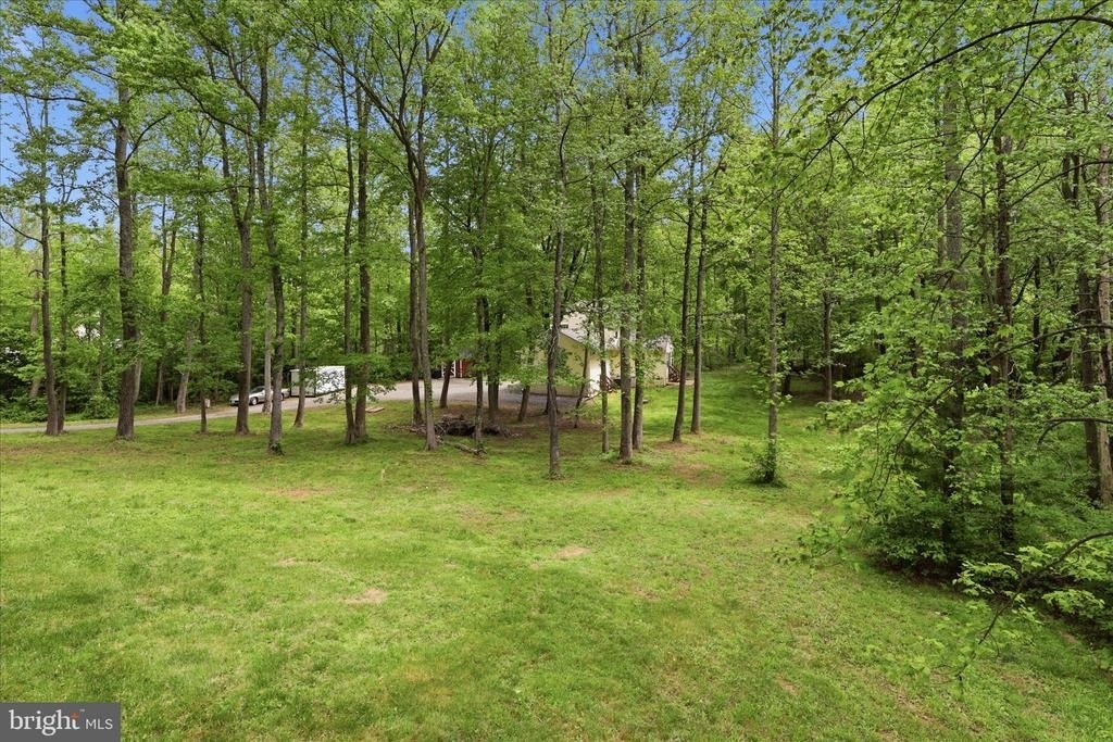 515 Shelton Shop Road - Photo 43