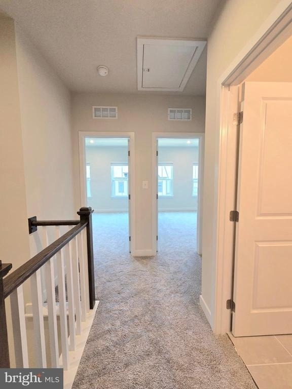 4540 Dandelion Loop - Photo 37