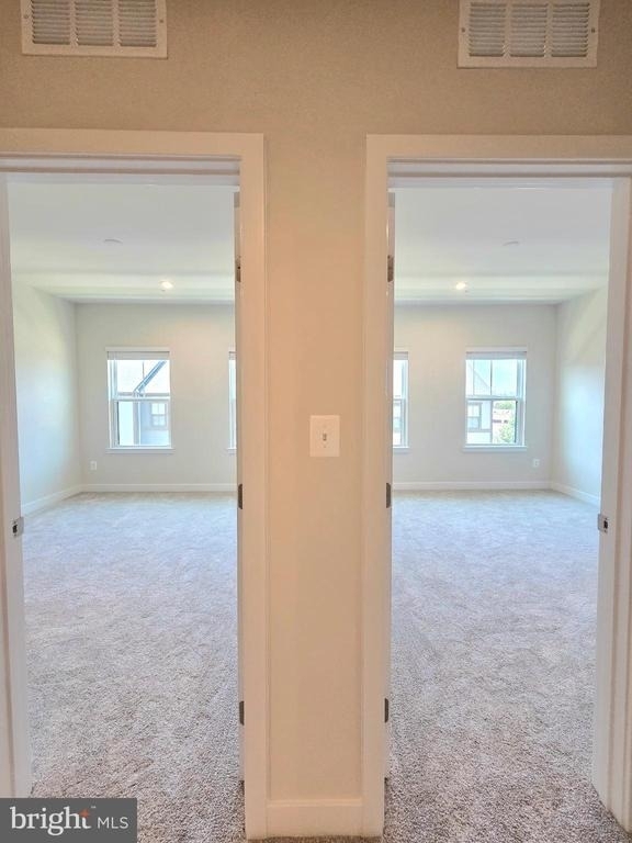 4540 Dandelion Loop - Photo 38
