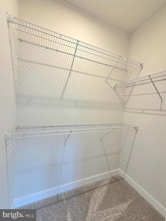 4540 Dandelion Loop - Photo 44