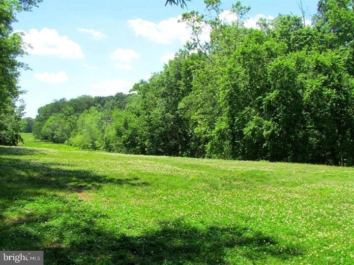 14840 Lynhodge Court - Photo 35