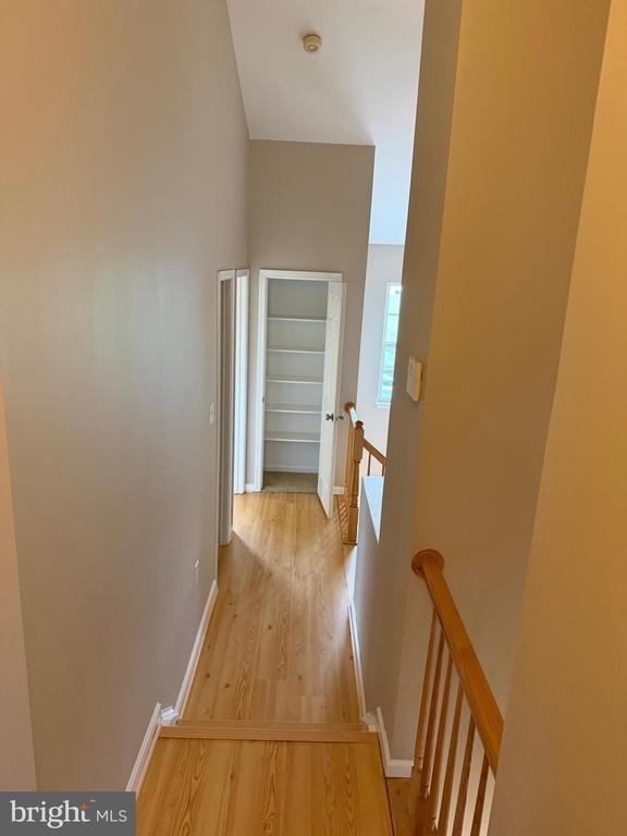 13100 Forest Mist Lane - Photo 25