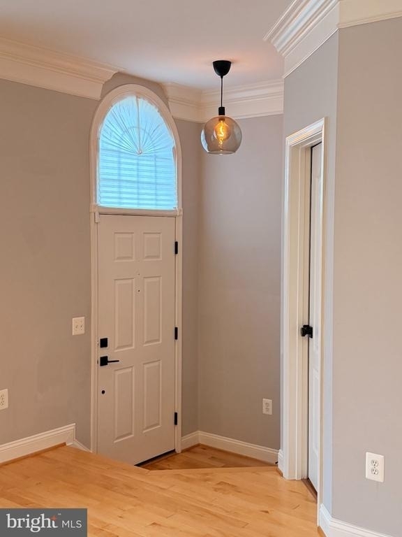 13457 Wood Lilly Lane - Photo 39