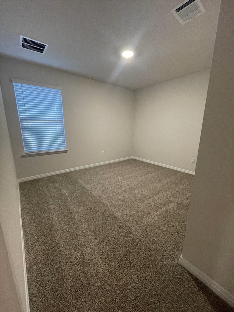 185 Grey Slate Ave - Photo 18