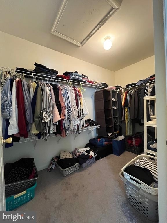 7 Shelley Circle - Photo 11