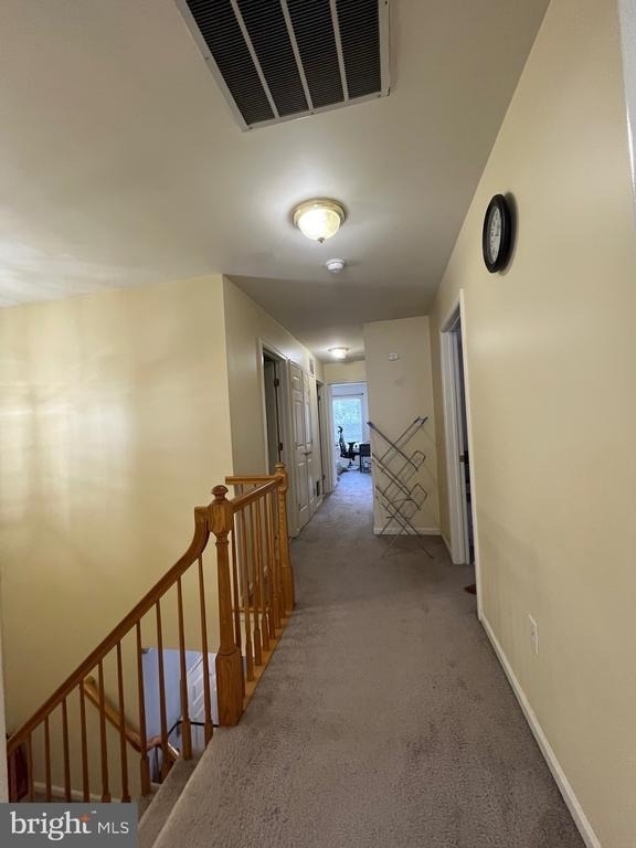 7 Shelley Circle - Photo 17