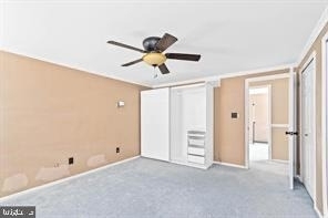 15 Waverly Road - Photo 22