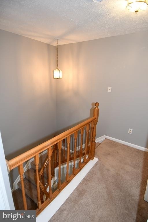13703 Lord Sterling Place - Photo 54