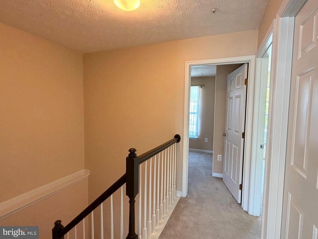 5 Silver Birch Court - Photo 31