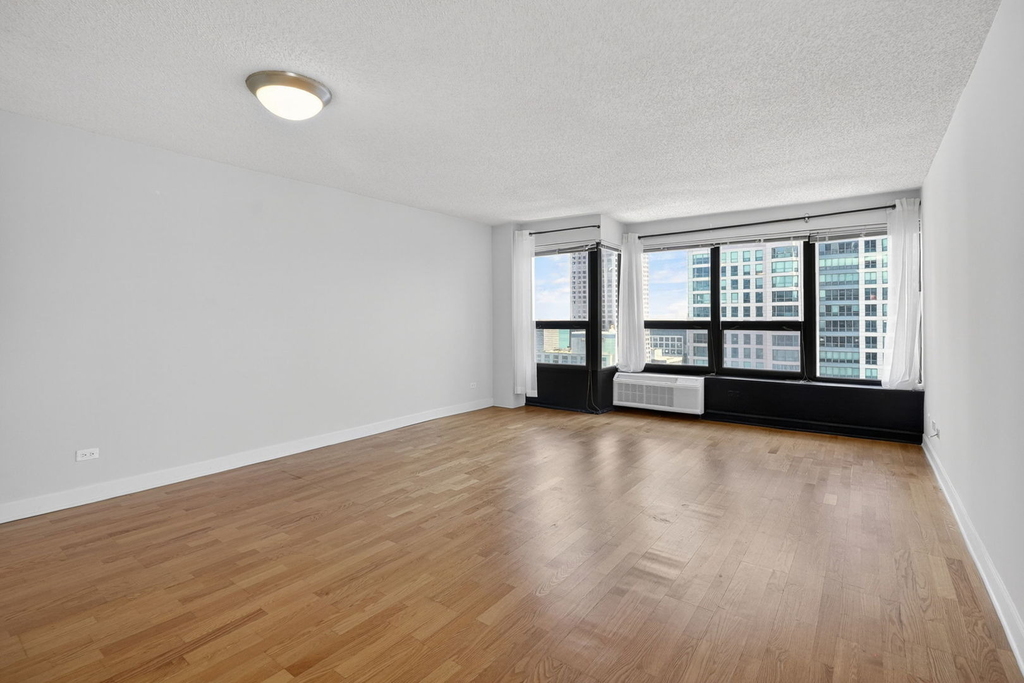 30 E Huron Street - Photo 5