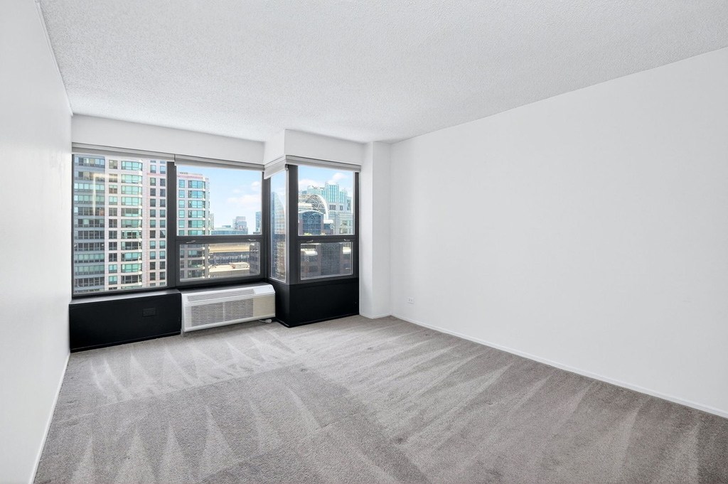 30 E Huron Street - Photo 14