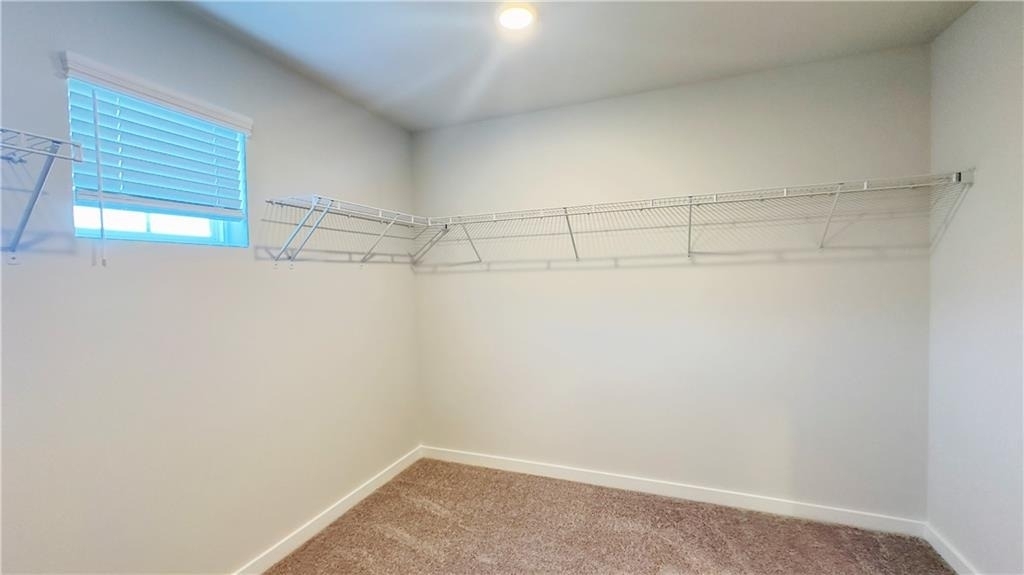2389 Brown Dove Way - Photo 24