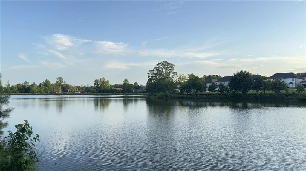 2389 Brown Dove Way - Photo 4