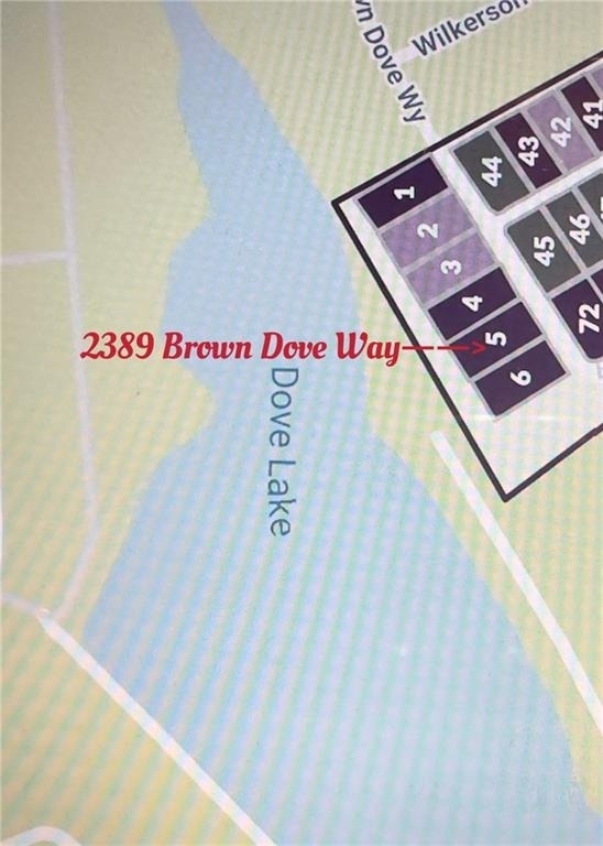 2389 Brown Dove Way - Photo 1
