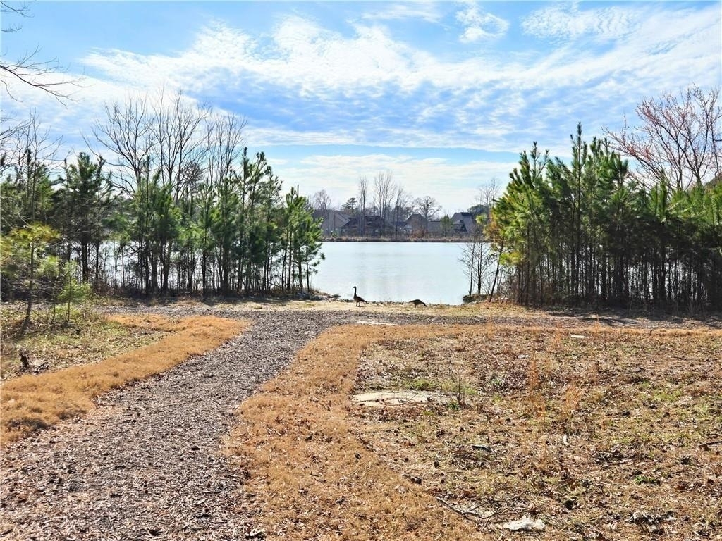 2389 Brown Dove Way - Photo 34