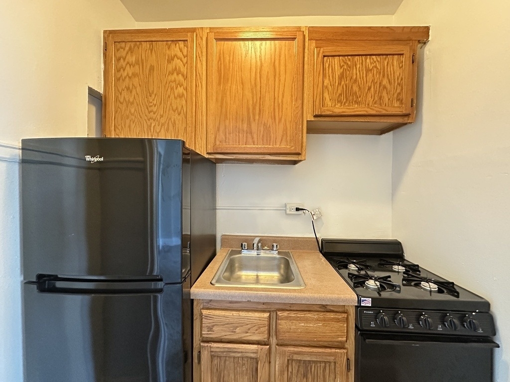 434 W Wellington Avenue - Photo 1